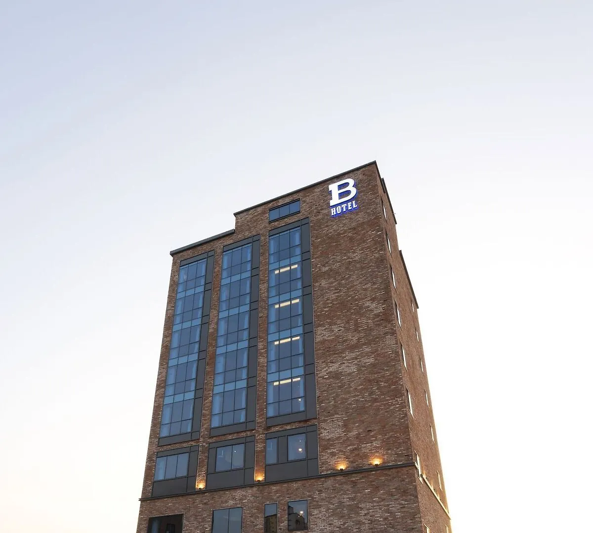 Brown-Dot Hotel Shinho Busan